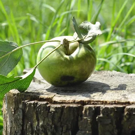 Haus Panorama Отель Пассау