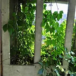 Haus Panorama ホテル 2*