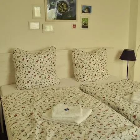 מלון Haus Panorama פסאו