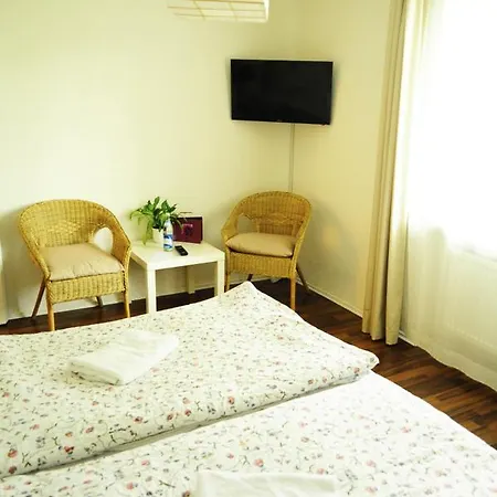 Haus Panorama 2* פסאו